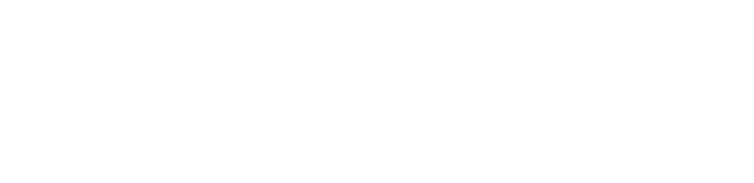 Spiderfi company logo and wordmark